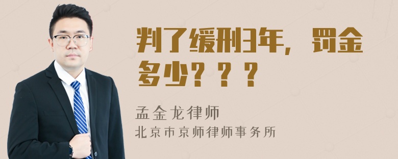 判了缓刑3年，罚金多少？？？