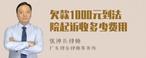 欠款1000元到法院起诉收多少费用