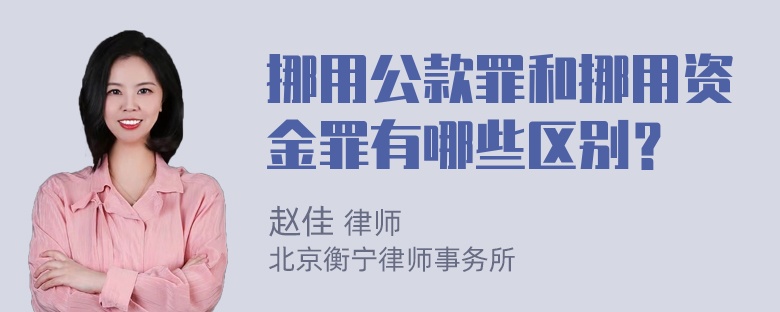 挪用公款罪和挪用资金罪有哪些区别？