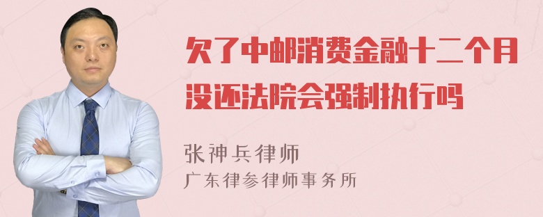 欠了中邮消费金融十二个月没还法院会强制执行吗