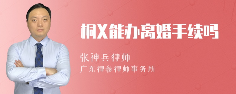 桐X能办离婚手续吗