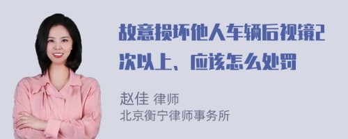 故意损坏他人车辆后视镜2次以上、应该怎么处罚