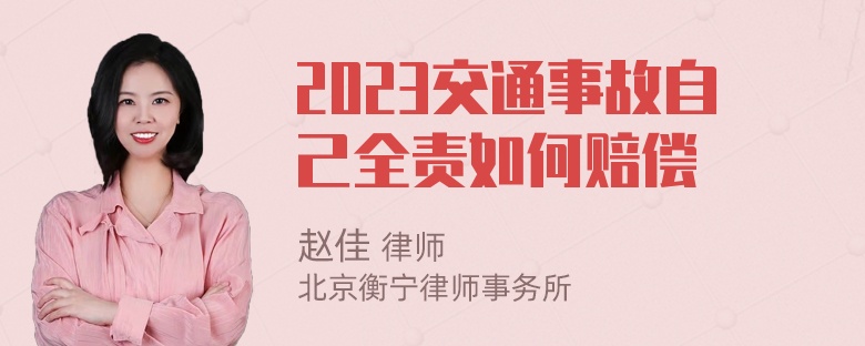 2023交通事故自己全责如何赔偿