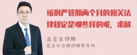 缓刑严管期两个月的相关法律规定是哪些样的呢，求解