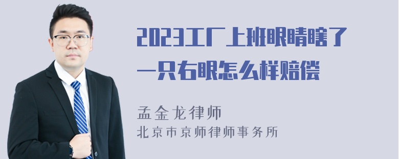 2023工厂上班眼睛瞎了一只右眼怎么样赔偿