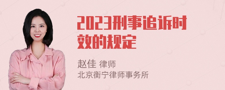 2023刑事追诉时效的规定