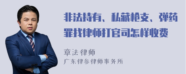 非法持有、私藏枪支、弹药罪找律师打官司怎样收费