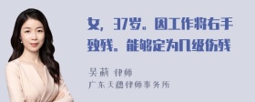 女，37岁。因工作将右手致残。能够定为几级伤残