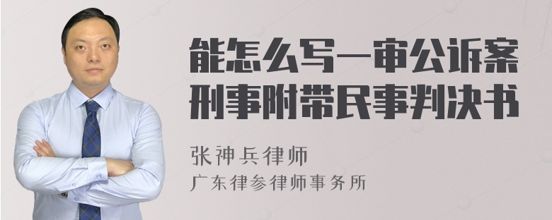 能怎么写一审公诉案刑事附带民事判决书