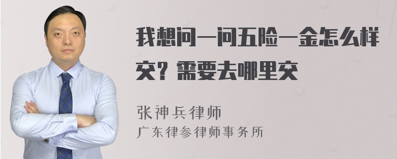 我想问一问五险一金怎么样交？需要去哪里交