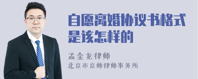 自愿离婚协议书格式是该怎样的