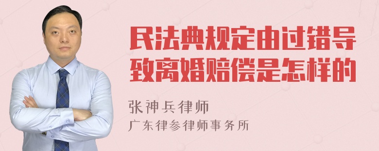 民法典规定由过错导致离婚赔偿是怎样的