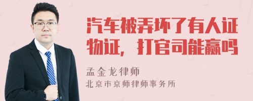 汽车被弄坏了有人证物证，打官司能赢吗