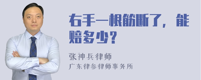 右手一根筋断了，能赔多少？