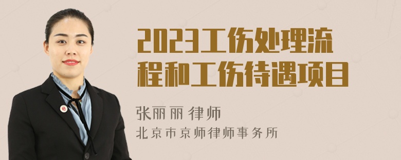 2023工伤处理流程和工伤待遇项目