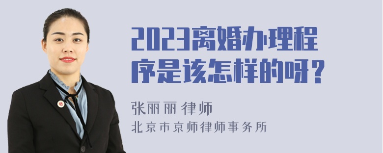 2023离婚办理程序是该怎样的呀？