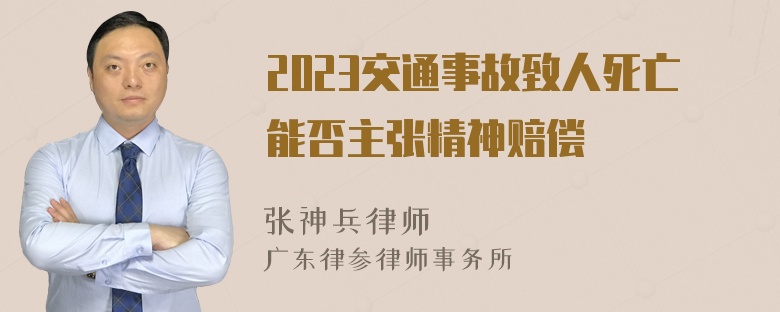 2023交通事故致人死亡能否主张精神赔偿