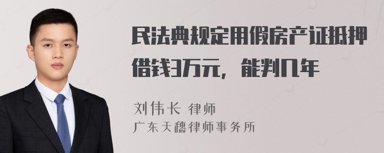 民法典规定用假房产证抵押借钱3万元，能判几年