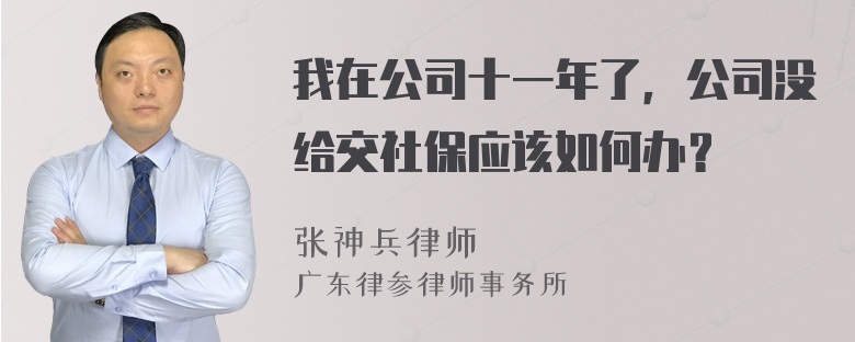 我在公司十一年了，公司没给交社保应该如何办？