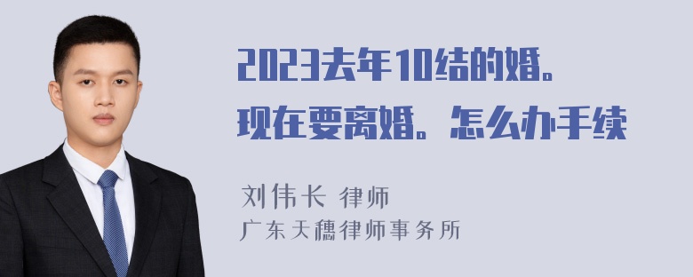 2023去年10结的婚。现在要离婚。怎么办手续