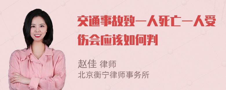 交通事故致一人死亡一人受伤会应该如何判