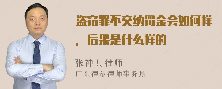 盗窃罪不交纳罚金会如何样，后果是什么样的