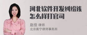 河北软件开发纠纷该怎么样打官司