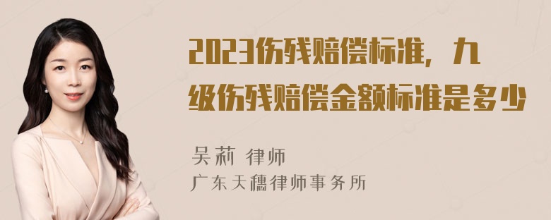 2023伤残赔偿标准，九级伤残赔偿金额标准是多少