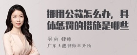 挪用公款怎么办，具体惩罚的措施是哪些