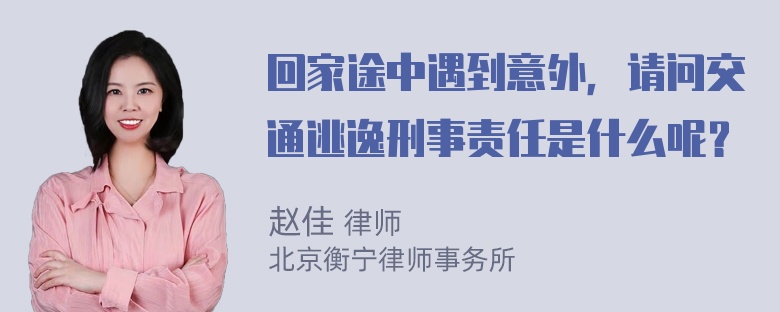 回家途中遇到意外，请问交通逃逸刑事责任是什么呢？