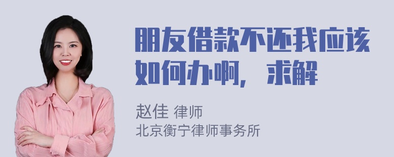 朋友借款不还我应该如何办啊，求解