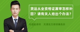 货运从业资格证漏审怎样补回？请有关人给出个办法？