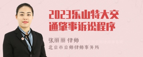 2023乐山特大交通肇事诉讼程序