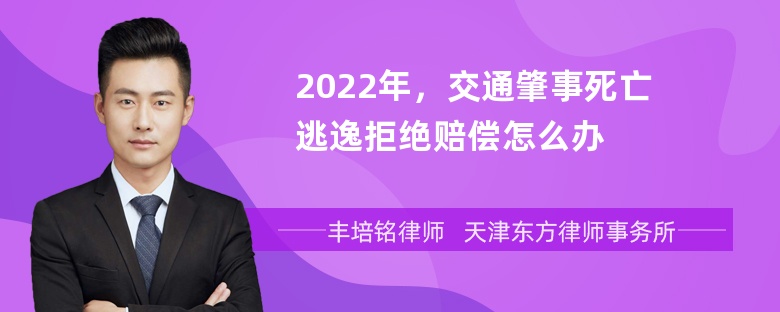 2022年，交通肇事死亡逃逸拒绝赔偿怎么办