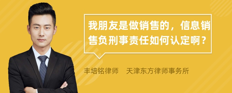 我朋友是做销售的，信息销售负刑事责任如何认定啊？