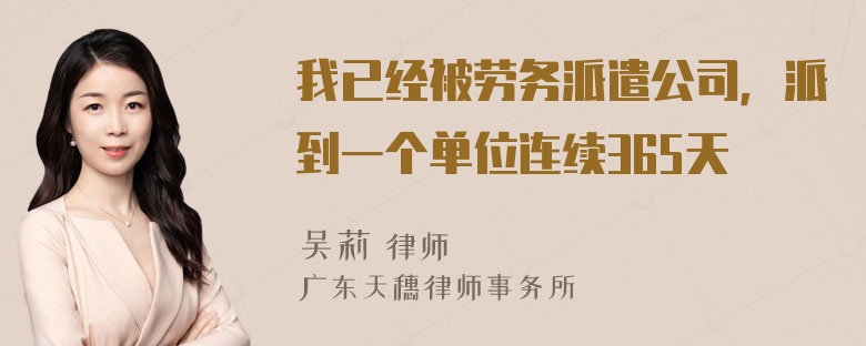 我已经被劳务派遣公司，派到一个单位连续365天