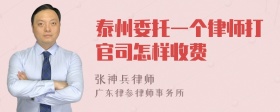 泰州委托一个律师打官司怎样收费