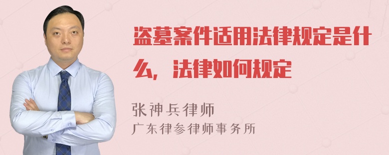 盗墓案件适用法律规定是什么，法律如何规定