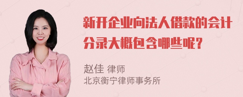 新开企业向法人借款的会计分录大概包含哪些呢？