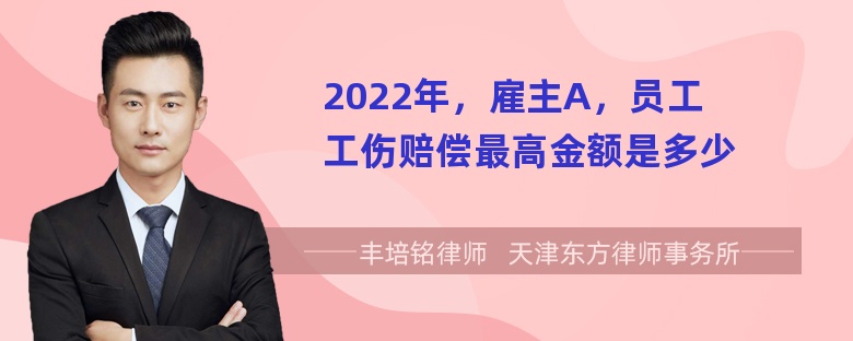 2022年，雇主A，员工工伤赔偿最高金额是多少