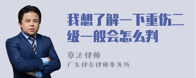 我想了解一下重伤二级一般会怎么判