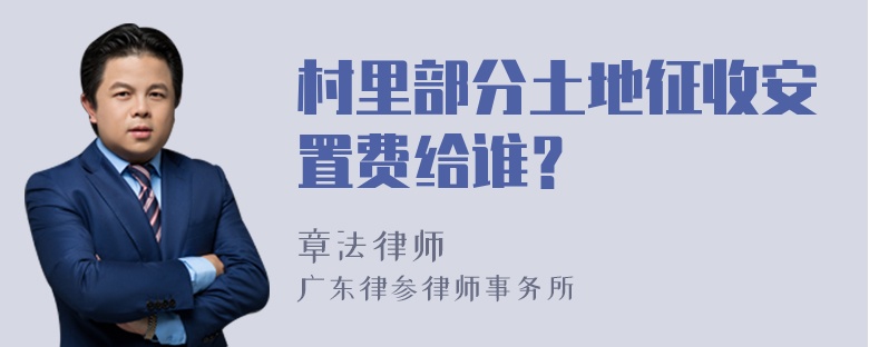 村里部分土地征收安置费给谁？