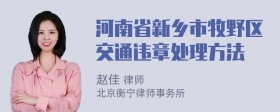 河南省新乡市牧野区交通违章处理方法