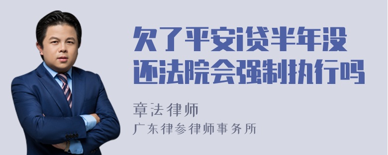 欠了平安i贷半年没还法院会强制执行吗