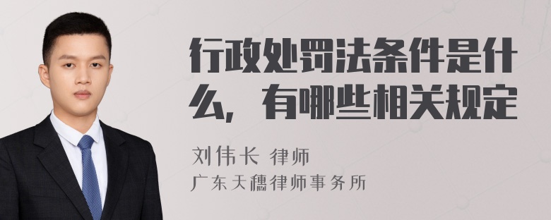 行政处罚法条件是什么，有哪些相关规定