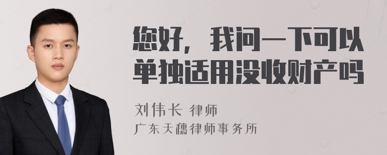 您好，我问一下可以单独适用没收财产吗