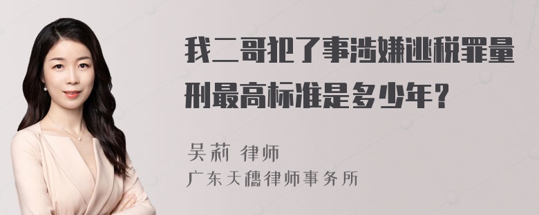 我二哥犯了事涉嫌逃税罪量刑最高标准是多少年？