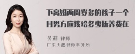 下离婚两周岁多的孩子一个月男方应该给多少抚养费在