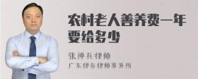 农村老人善养费一年要给多少