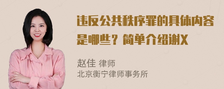 违反公共秩序罪的具体内容是哪些？简单介绍谢X